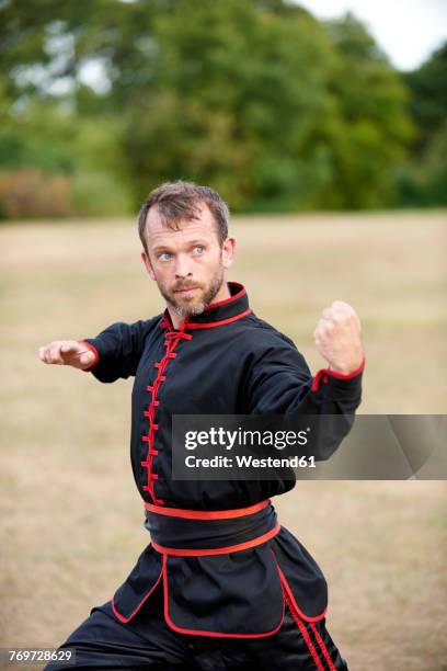 man practicing kung fu in park - カンフー ストックフォトと画像