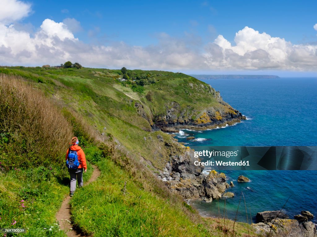 UK, England, Cornwall, The Lizard, woman hiking at the coast near Cadgwith