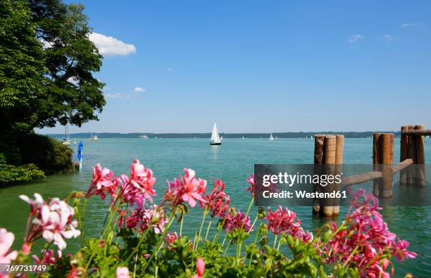 germany, bavaria, sailing ship on lake starnberg near tutzing - starnberg photos et images de collection