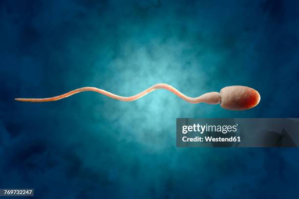 sperm, 3d rendering - sperm stock illustrations