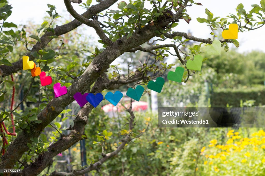 Heart-shaped garland made of paper hanging in garden