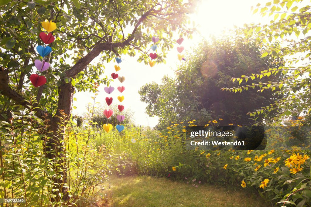 Heart-shaped garland made of paper hanging in garden