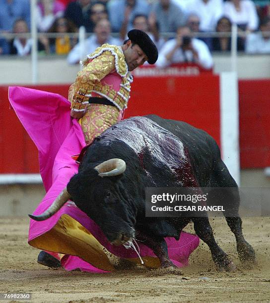Cesar Rincon 202 Cesar Rincon Stock Photos, High-Res Pictures, and Images - Getty Images