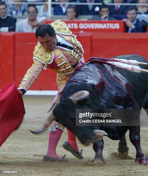 Cesar Rincon 202 Cesar Rincon Stock Photos, High-Res Pictures, and Images - Getty Images