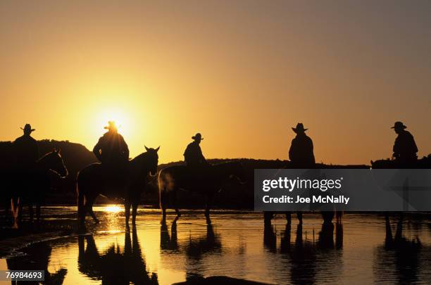 Texas cowboys water their horses out on the range at sunset in 1996 at the Double Mountain River Ranch near Rotan, TX. Cowboy life in 1996 was much...