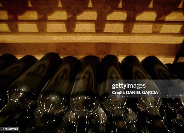 Bottles of Nicolas Catena Zapata, the top wine of Catena Zapata winery, in aging process at the wine cellar located at the Mayan-inspired pyramid...