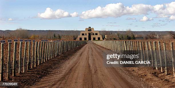 Mayan-inspired pyramid is the architectural style of the new winery Catena Zapata, located at 940 meters above sea level in the high altitude...