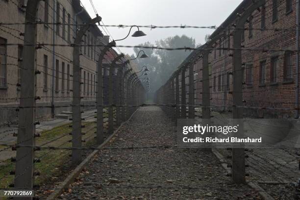 Double fence of electrified barbed wire mounted with security lights at the Auschwitz I German Nazi concentration and extermination camp, southern...