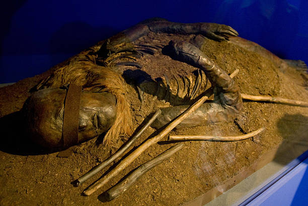 View of the mummified remain of "The Woman from Windeby" at the "Mummies - The Dream of Everlasting Life" exhibition at the Reiss-Engelhorn Museum in...