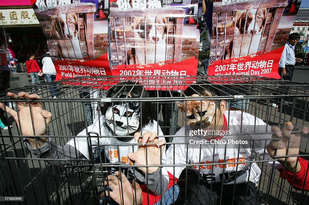 Activists From The CCAPN Demonstrate To Promote Animal Protection