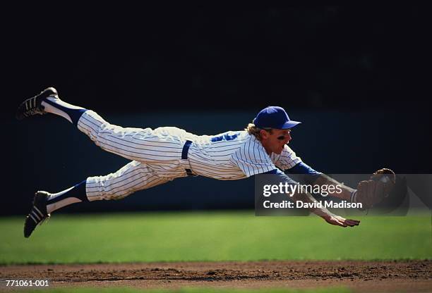 baseball player diving to catch ball - diving to the ground bildbanksfoton och bilder