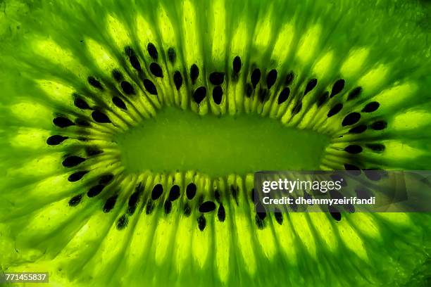 extreme close-up of a kiwi fruit - green colour food stock pictures, royalty-free photos & images