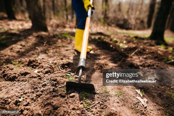 boy digging the soil with a hoe - ho stock pictures, royalty-free photos & images