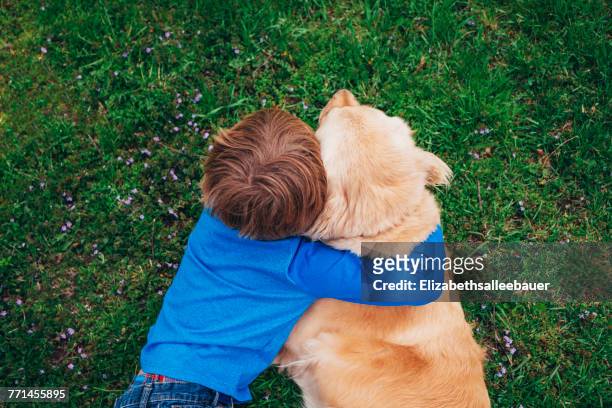 overhead view of a boy hugging his golden retriever dog - animal back bildbanksfoton och bilder