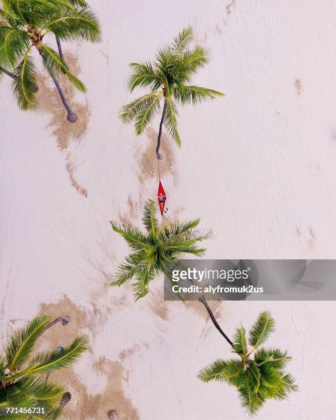 Aerial view of a woman on a hammock on the beach, Waikiki, Honolulu, Hawaii, America, USA