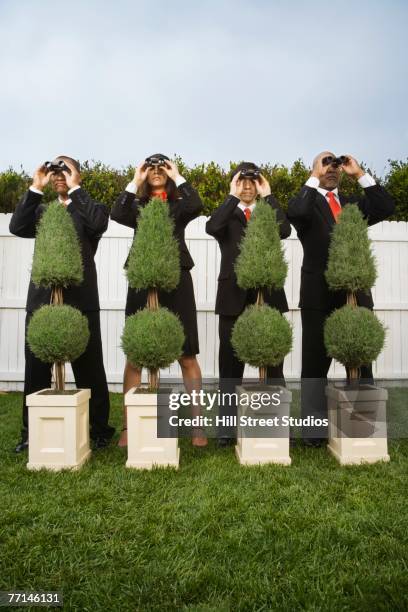 multi-ethnic businesspeople spying from behind bushes - hiding behind bush stock pictures, royalty-free photos & images