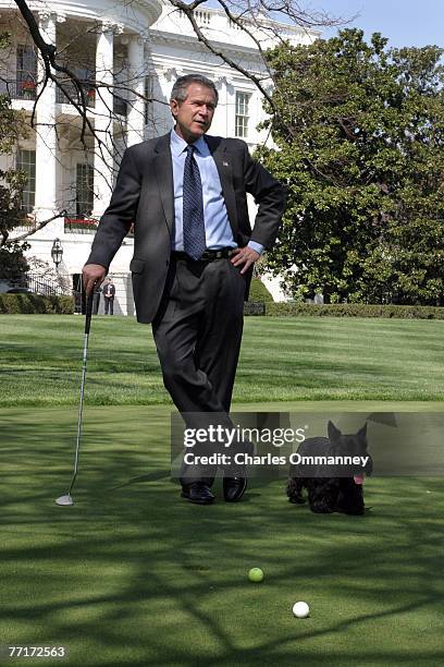 President George W. Bush plays golf on the South Lawn of the White House with his dogs Barney and Spot April 15, 2003 in Washington, DC. After a...