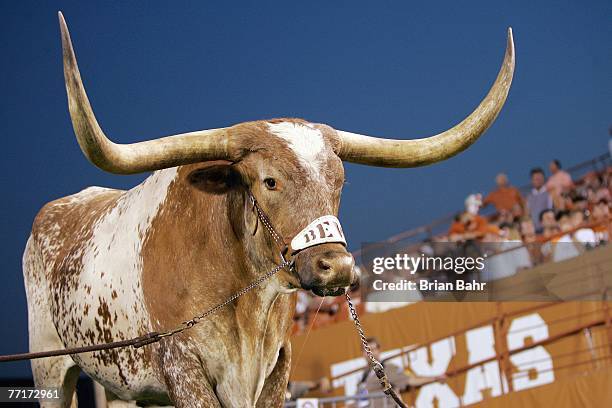 Bevo, mascot of the Texas Longhorns, stands in the corner off the endzone against the Rice Owls on September 22, 2007 at Darrell K Royal-Texas...