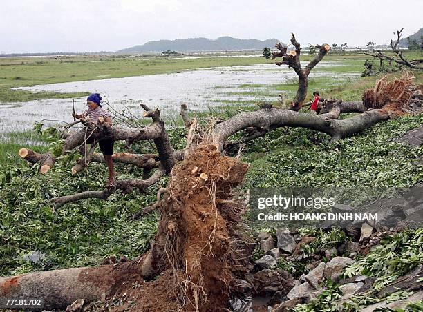 Woman cuts a fallen tree after the passage of the tropical storm Lekima in central province of Ha Tinh, 04 October 2007. Typhoon Lekima smashed into...