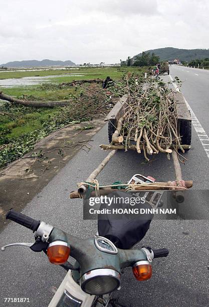 People load wood for cooking on carts to carry home after the passge of tropical storm Lekima in the poor central province of Ha Tinh, 04 October...