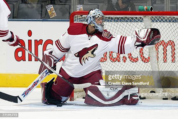 Goaltender David Aebischer of the Phoenix Coyotes warms up prior to their NHL preseason game against the Toronto Maple Leafs at the Air Canada Centre...