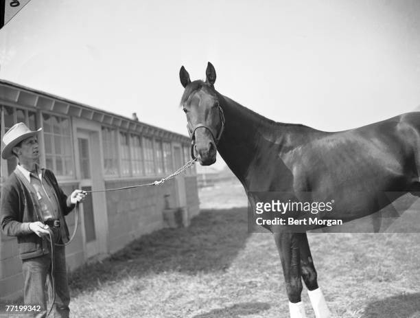 Portrait of bay colt Citation , his reins held by his trainer Jimmy Jones at the Belmont Futurity Stakes, Elmont, New York, October 8, 1947. Citation...