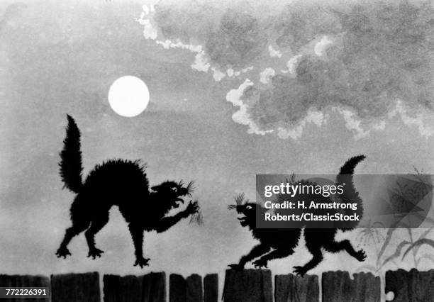 ILLUSTRATION TWO BLACK CATS FIGHTING ON FENCE UNDER MOON