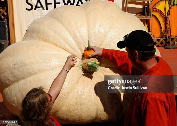 Thad Starr places a miniature pumpkin on his 1524 pound pumpkin at the 34th Annual Safeway World Championship Pumpkin Weigh-Off October 8, 2007 in...