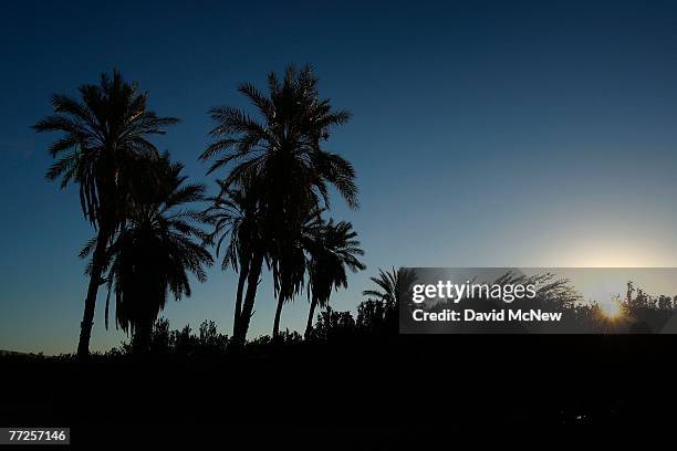 The sun rises over date palms at a farm on October 10, 2007 in the Coachella Valley near Mecca, California. Southern California farmers are being hit...