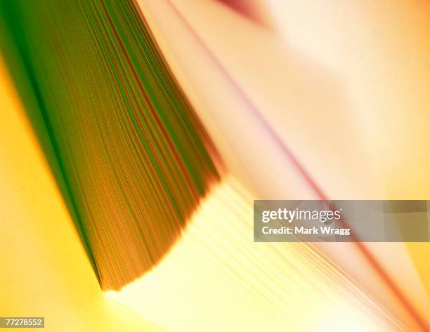 stack of folders or document - ream of paper stock pictures, royalty-free photos & images