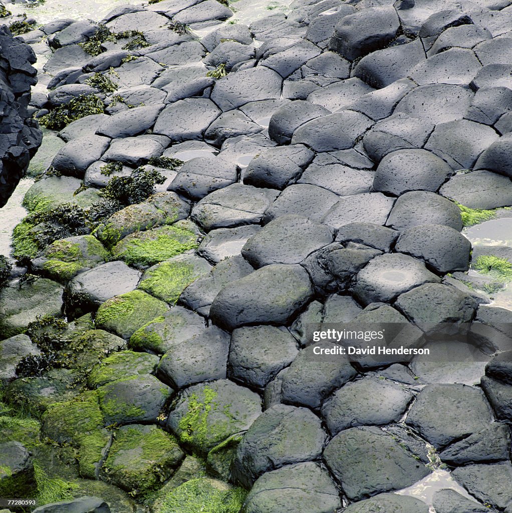 Detail of basalt columns of The Giant's Causeway