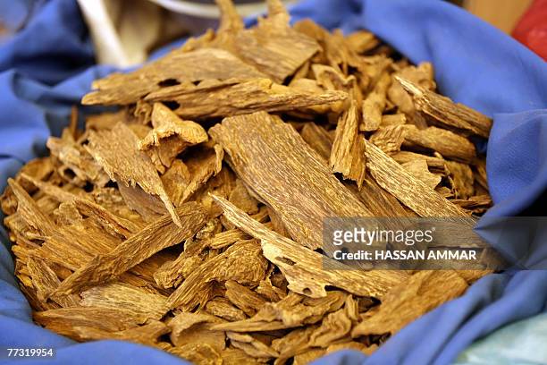 Chunks of Oud or Agarwood lie in a sack at a shop in Riyadh, 10 October 2007. Oud, also known by the names Agrawood and Aloeswood, is the resinous...