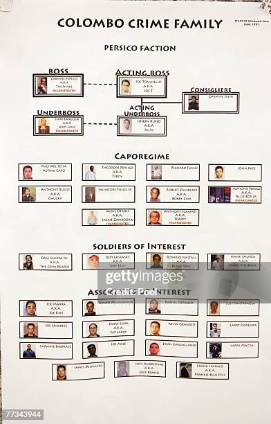 Organized crime flow charts are displayed of the Colombo Crime Family, Persico Faction, which was presented into evidence at the trial of Roy Lindley...