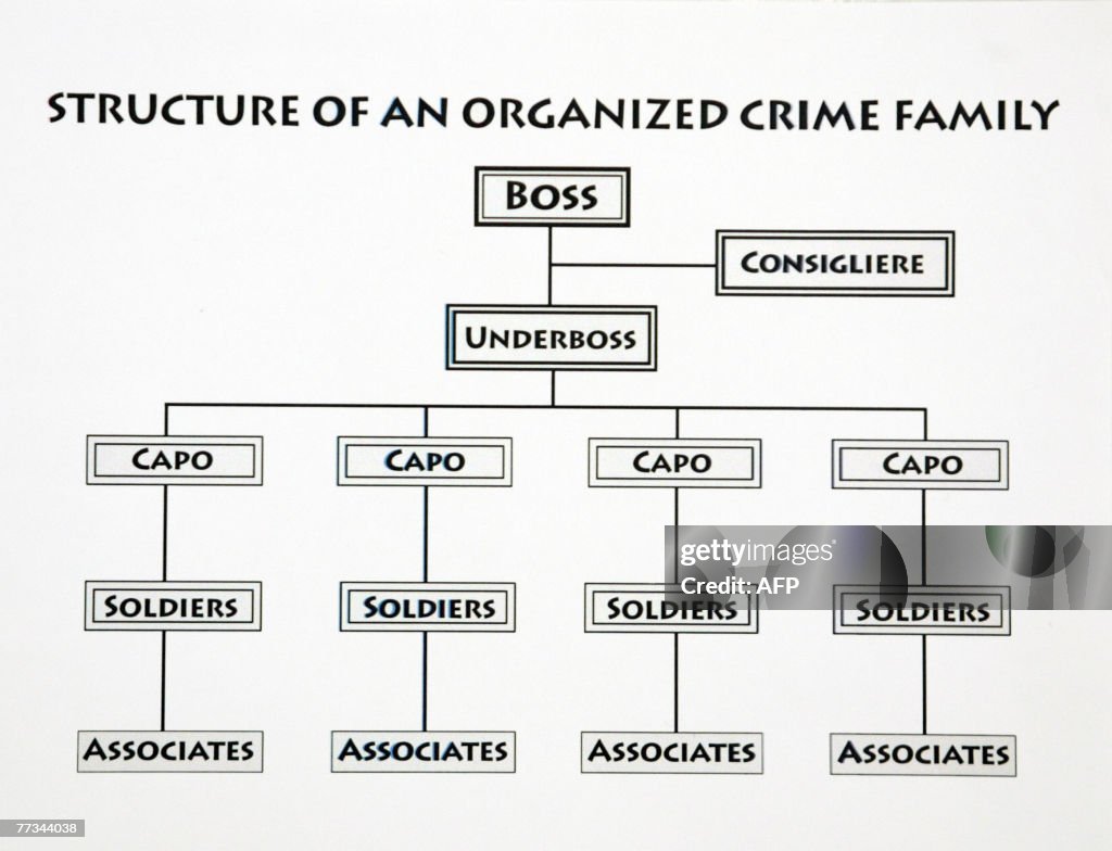 Various organized crime flow charts pres