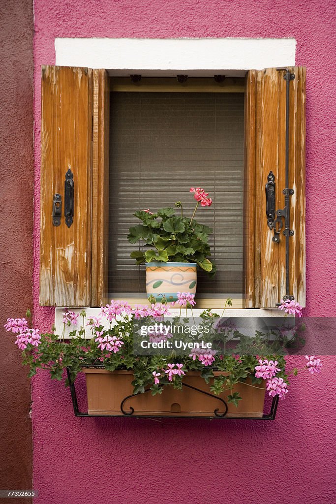 A window on a colorful pink house in Burano