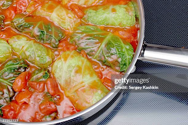 braising - stuffed cabbage stock pictures, royalty-free photos & images