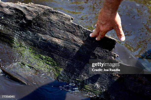 Fred Robbins touches a large section of a dugout canoe, possibly more than 1,000 years old that was found in Lake Trafford October 16, 2007 in...