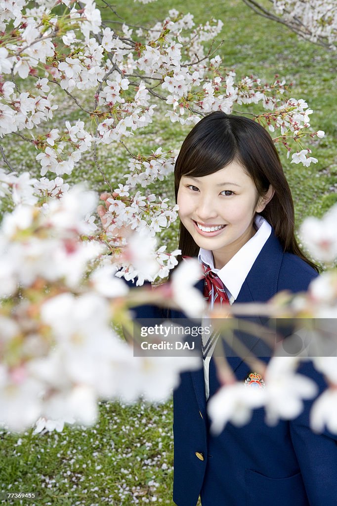 High School Student Under The Cherry Blossoms, Differential Focus