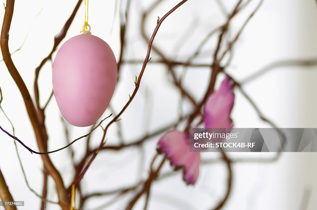 Painted Easter egg hanging on a branch, close-up, selective focus