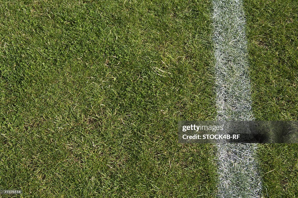 Soccer field