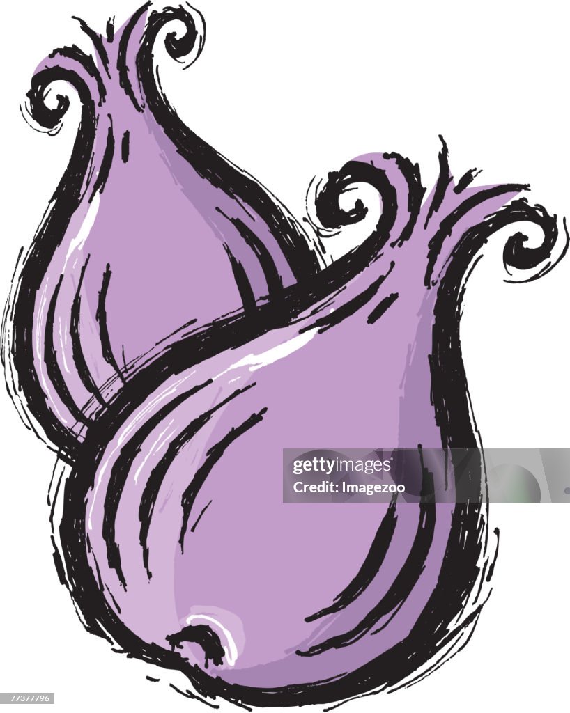 Two purple onions