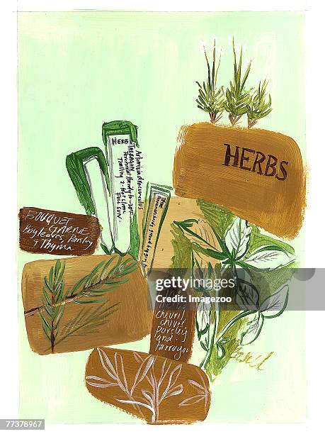 ilustrações, clipart, desenhos animados e ícones de herbs and spices - estragão