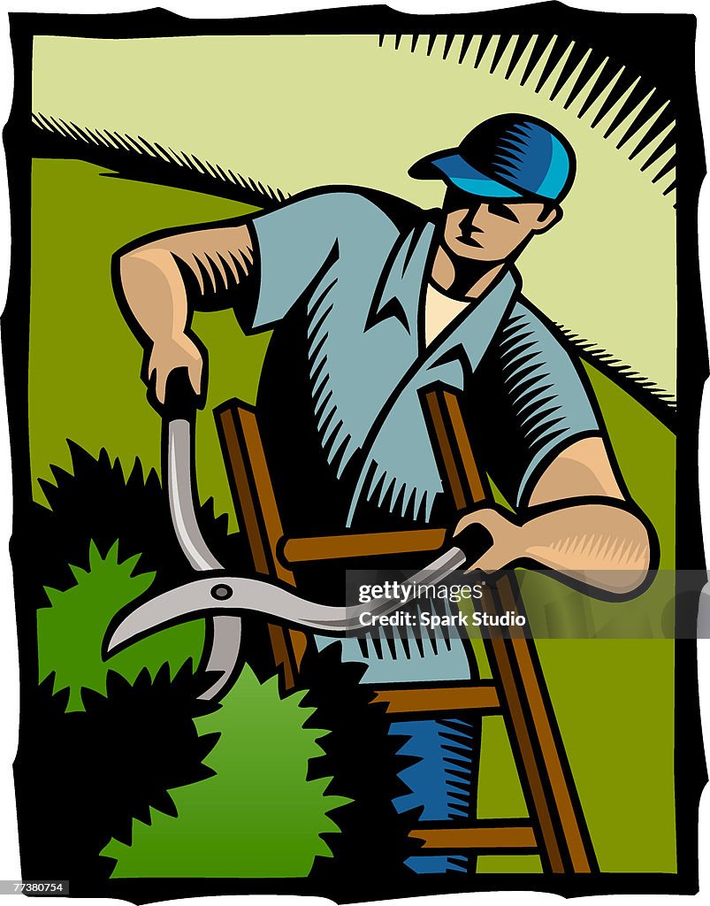 A man cutting hedges