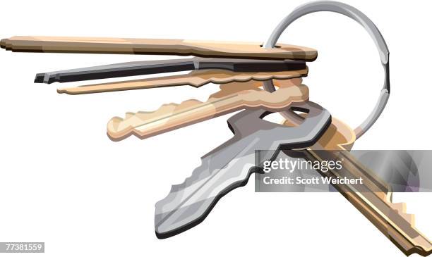 stockillustraties, clipart, cartoons en iconen met illustration of a set of keys on a key ring - key ring isolated