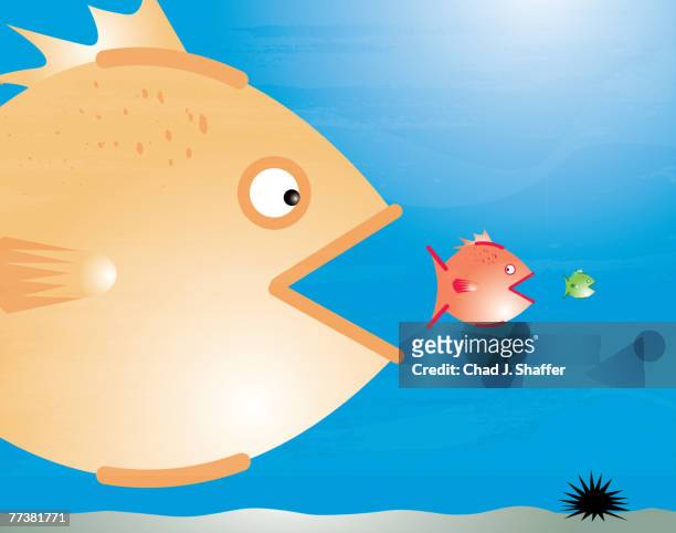 a big fish eating a small fish which is about to eat an even smaller fish - food chain stock-grafiken, -clipart, -cartoons und -symbole