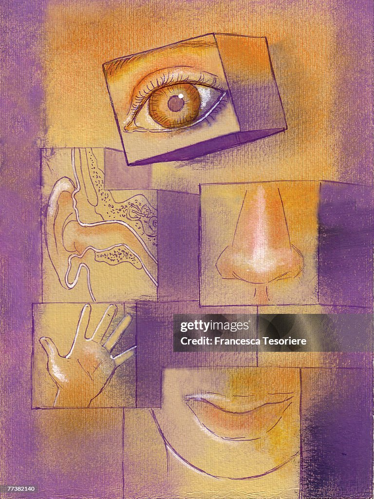 Blocks with illustrations on the five senses on them
