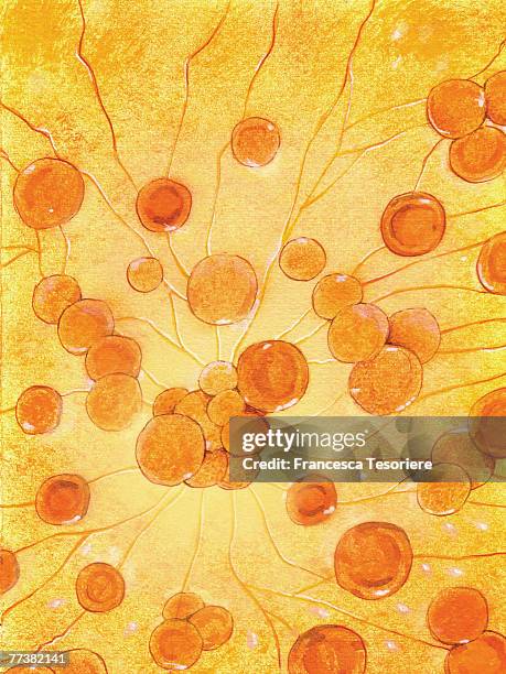 ilustraciones, imágenes clip art, dibujos animados e iconos de stock de an illustration of cells - membrana celular