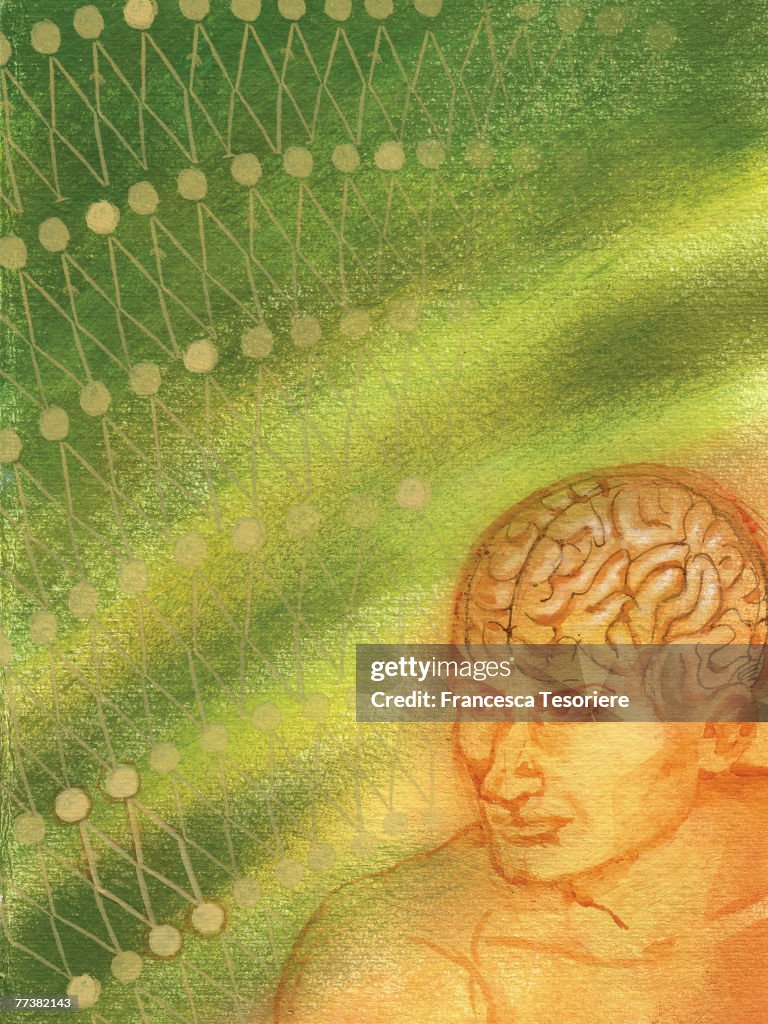 A pictorial representation of a man's brain