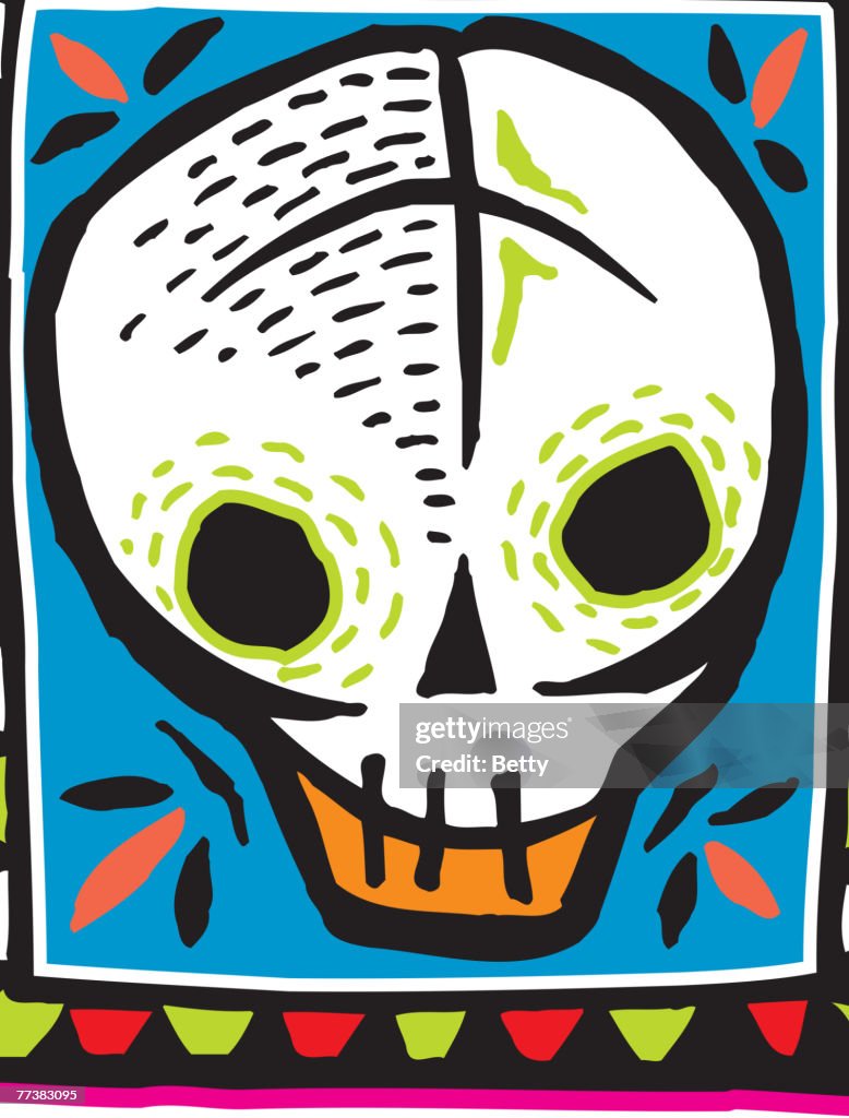 White skull on colorful bordered background