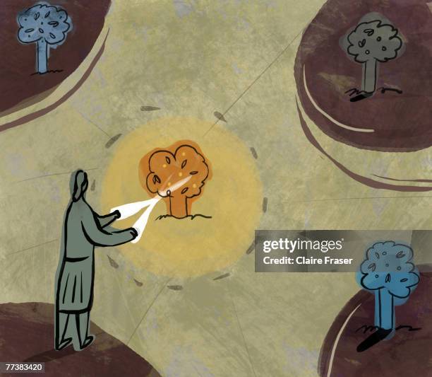 an illustration of a woman pruning a small tree - topiary stock illustrations